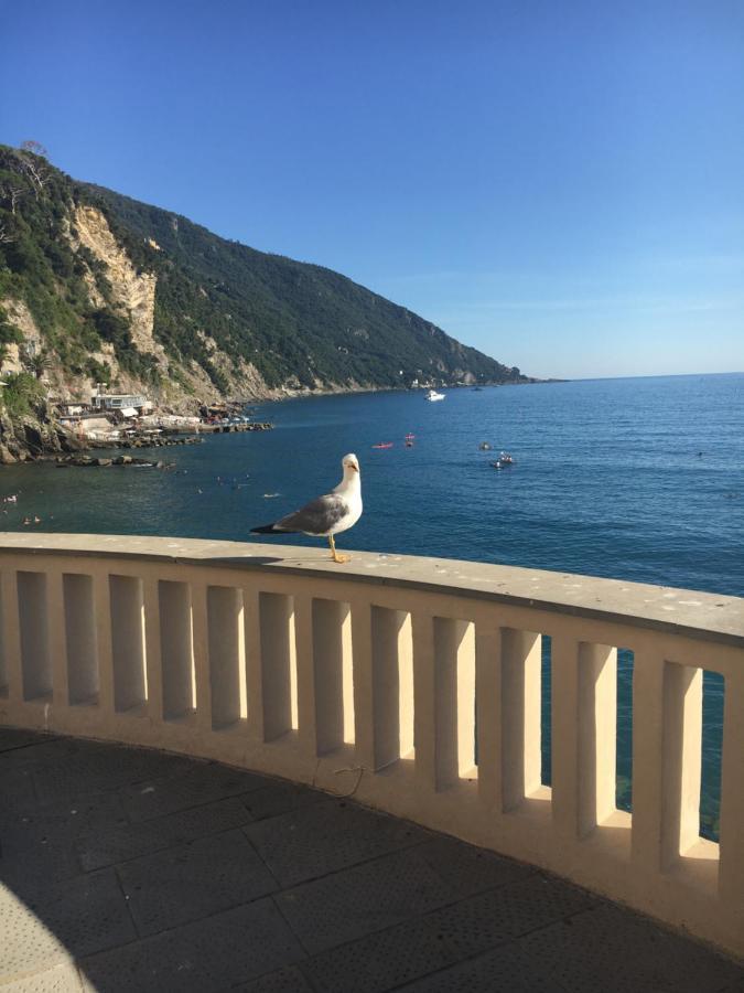 Casetta Del Marinaio 카모글리 외부 사진