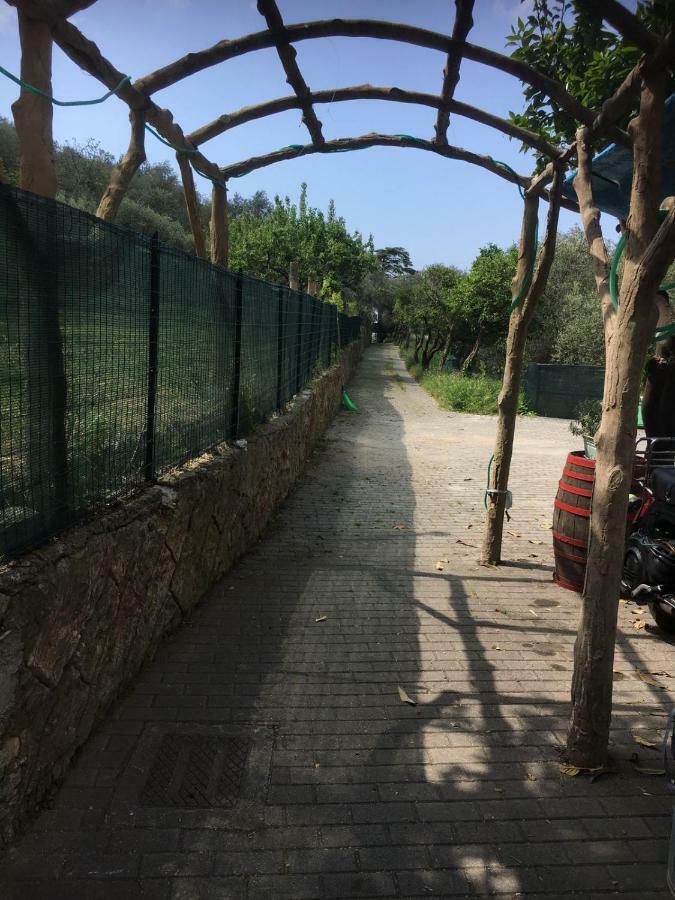 Casetta Del Marinaio 카모글리 외부 사진
